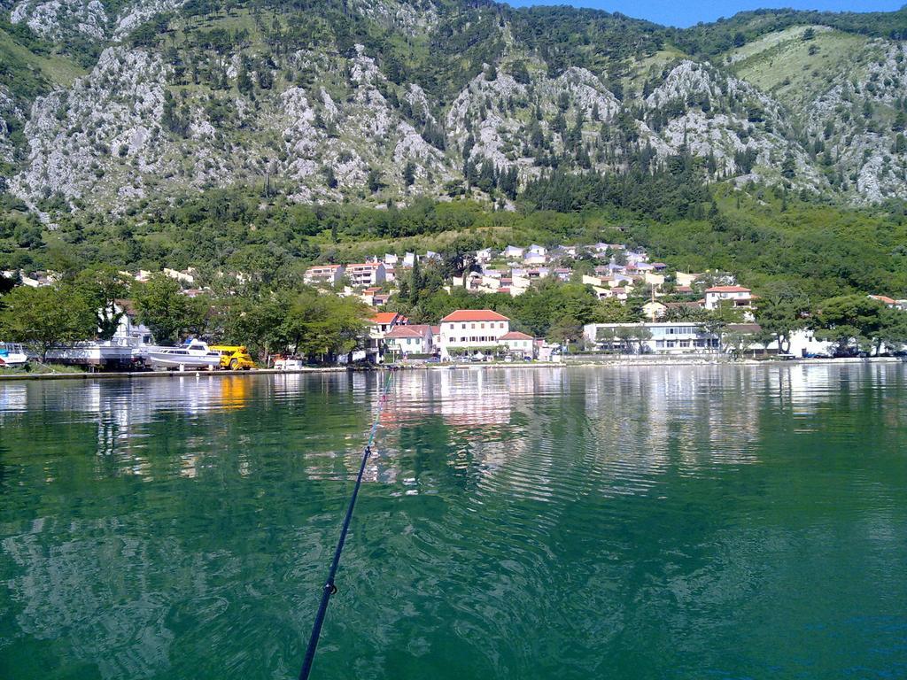Apartment Mimosa Kotor Bilik gambar