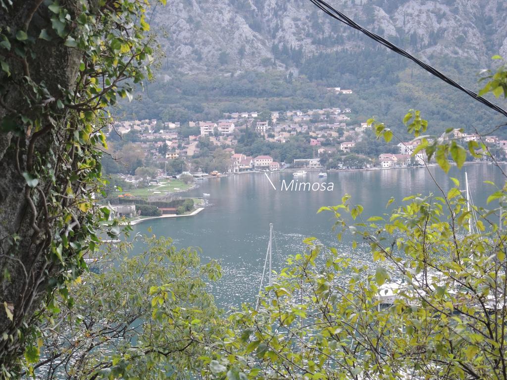 Apartment Mimosa Kotor Bilik gambar