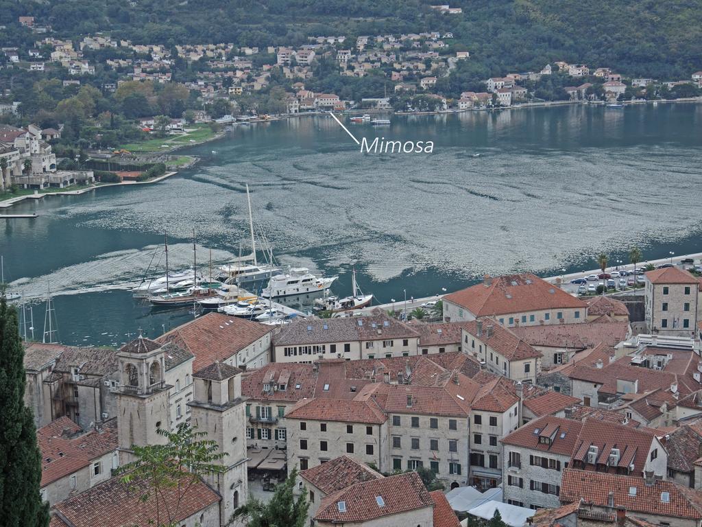Apartment Mimosa Kotor Bilik gambar