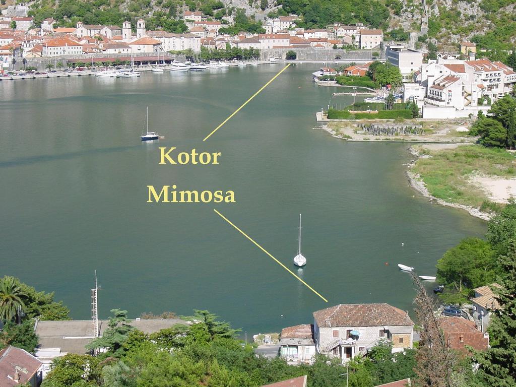 Apartment Mimosa Kotor Bilik gambar