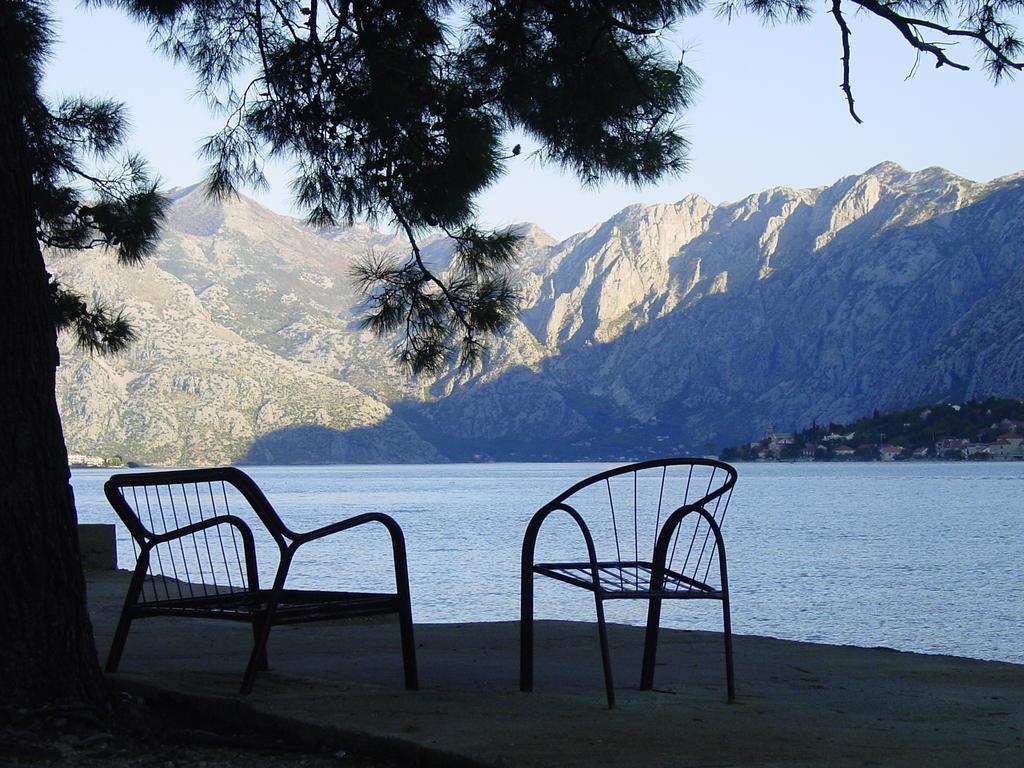Apartment Mimosa Kotor Bilik gambar